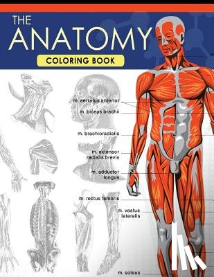 Dr Jessica C. Flynn - The Anatomy Coloring Book: A Complete Study Guide (9th Edition)