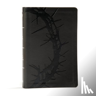 Holman Bible Publishers - KJV Large Print Personal Size Reference Bible, Charcoal Leathertouch Indexed
