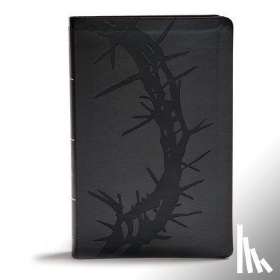 Holman Bible Publishers - KJV Giant Print Reference Bible, Charcoal Leathertouch, Indexed