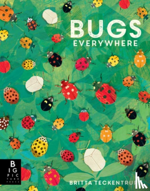 Murray, Lily - Bugs Everywhere