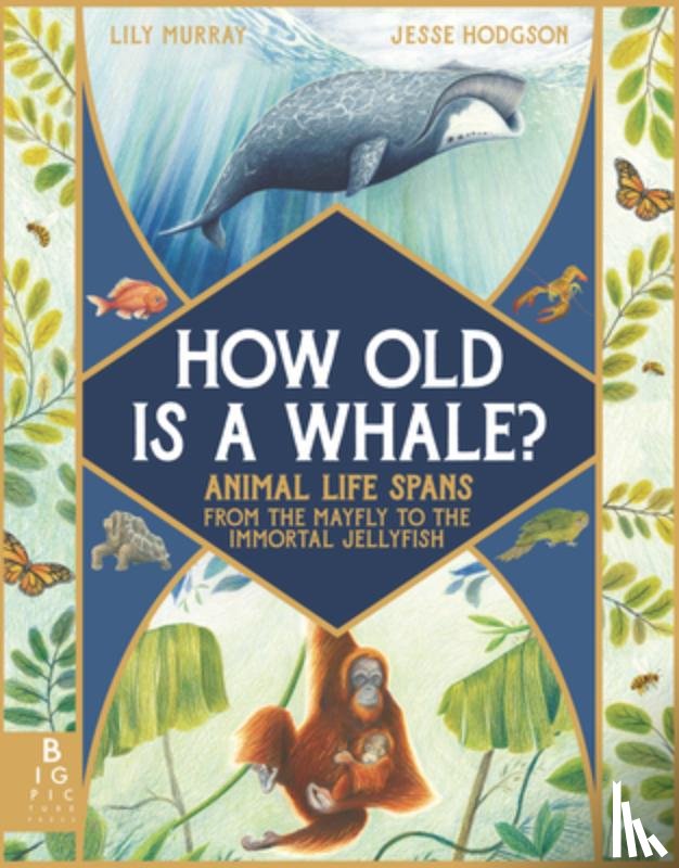 Murray, Lily - How Old Is a Whale?: Animal Life Spans from the Mayfly to the Immortal Jellyfish