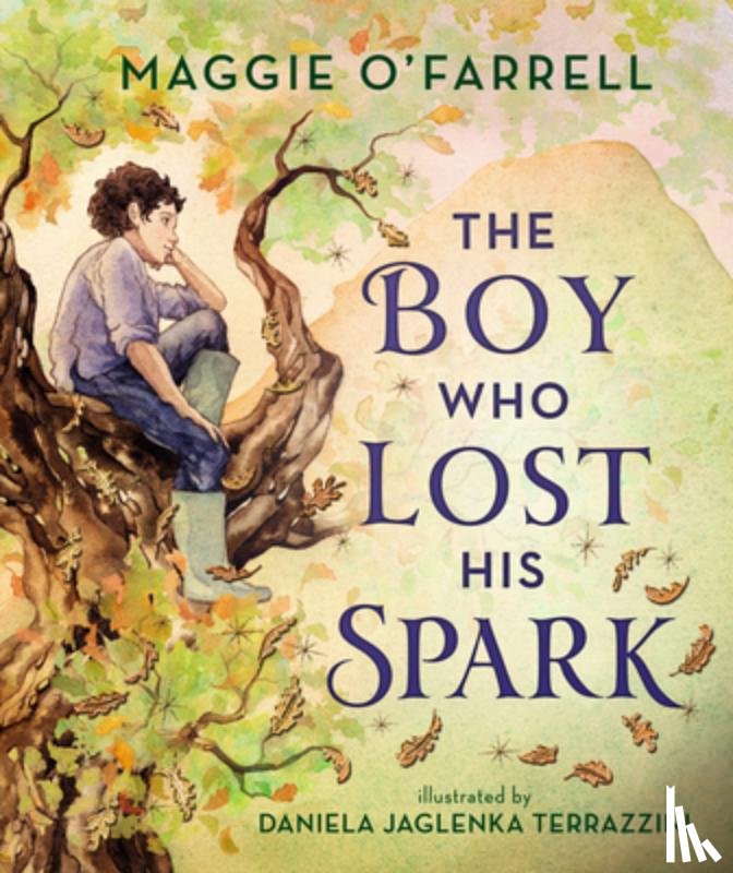 O'Farrell, Maggie - The Boy Who Lost His Spark