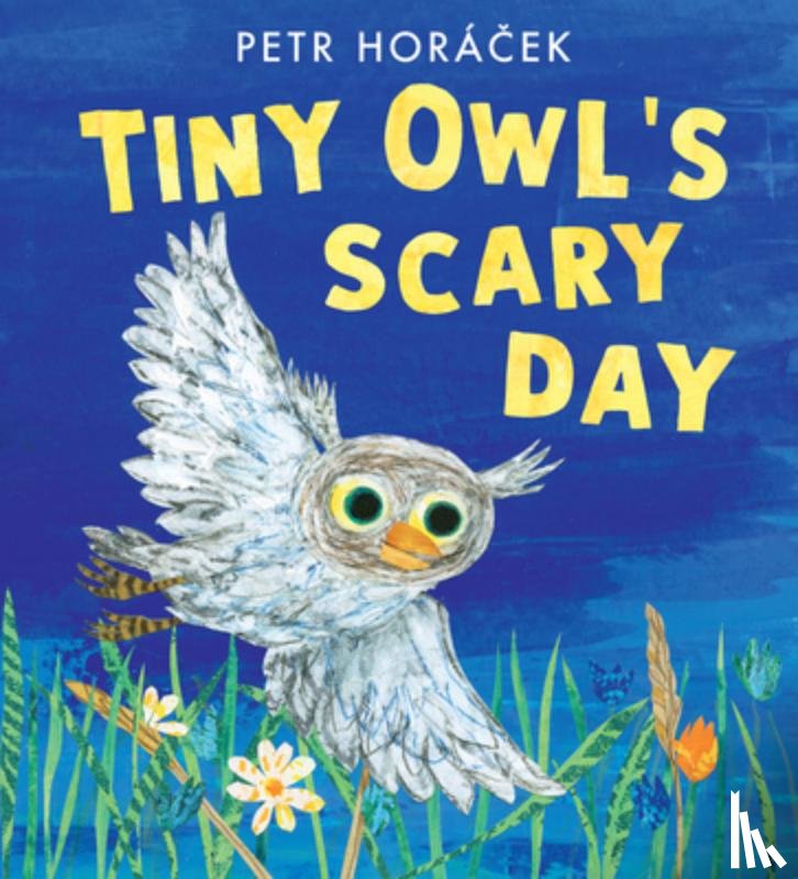 Horácek, Petr - Tiny Owl's Scary Day
