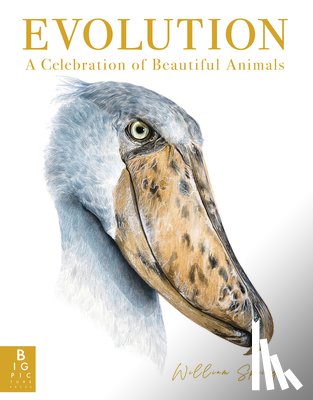 Spring, William - Evolution: A Celebration of Beautiful Animals