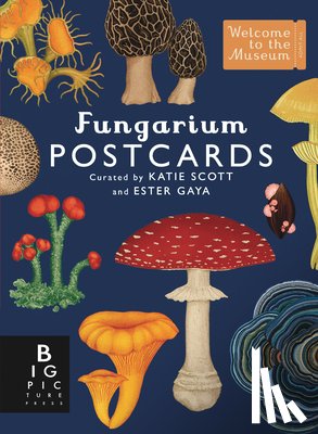 Gaya, Ester - Fungarium Postcard Box Set