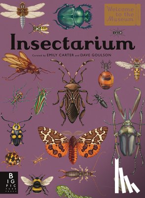 Goulson, Dave - Insectarium: Welcome to the Museum (an Illustrated Junior Entomology Guide to Wild Bug Species, Biodiversity, and Nature Conservation for Kids Ages 8-
