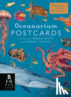 Trinick, Loveday - Oceanarium Postcard Box Set