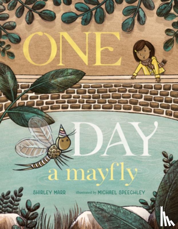 Marr, Shirley - One Day a Mayfly
