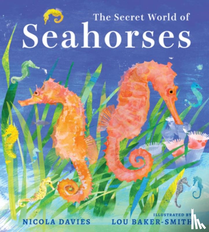 Davies, Nicola - The Secret World of Seahorses