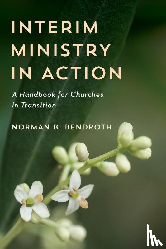 Bendroth, Norman B. - Interim Ministry in Action