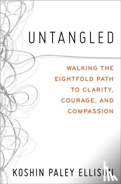 Ellison, Koshin Paley - Untangled