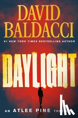 Baldacci, David - Daylight