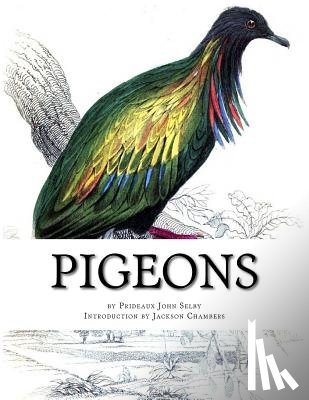 Chambers, Jackson - Pigeons: Pigeon Classics Book 9