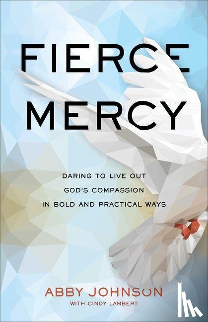 Johnson, Abby, Lambert, Cindy - Fierce Mercy – Daring to Live Out God`s Compassion in Bold and Practical Ways