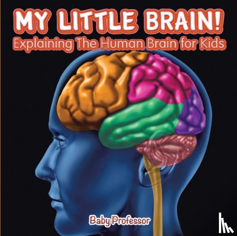Baby Professor - My Little Brain! - Explaining The Human Brain for Kids