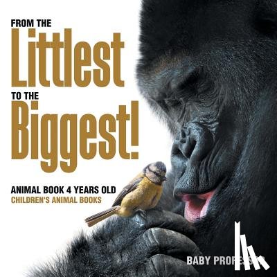 Baby Professor - From the Littlest to the Biggest! Animal Book 4 Years Old Children's Animal Books