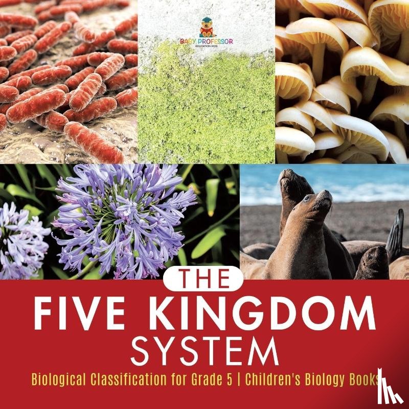 Baby Professor - The Five Kingdom System Biological Classification for Grade 5 Children's Biology Books