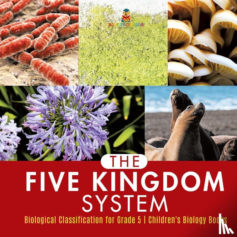 Baby Professor - The Five Kingdom System Biological Classification for Grade 5 Children's Biology Books