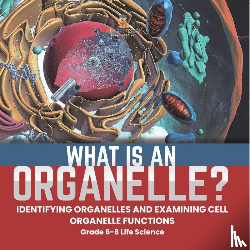 Baby - What is an Organelle? Identifying Organelles and Examining Cell Organelle Functions | Grade 6-8 Life Science