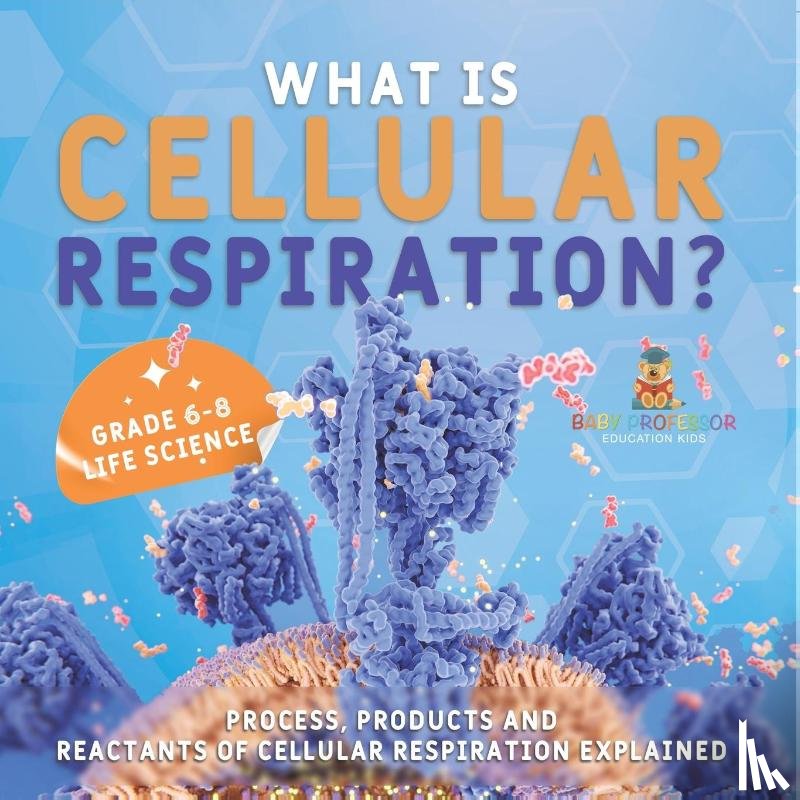 Baby - What is Cellular Respiration? Process, Products and Reactants of Cellular Respiration Explained | Grade 6-8 Life Science