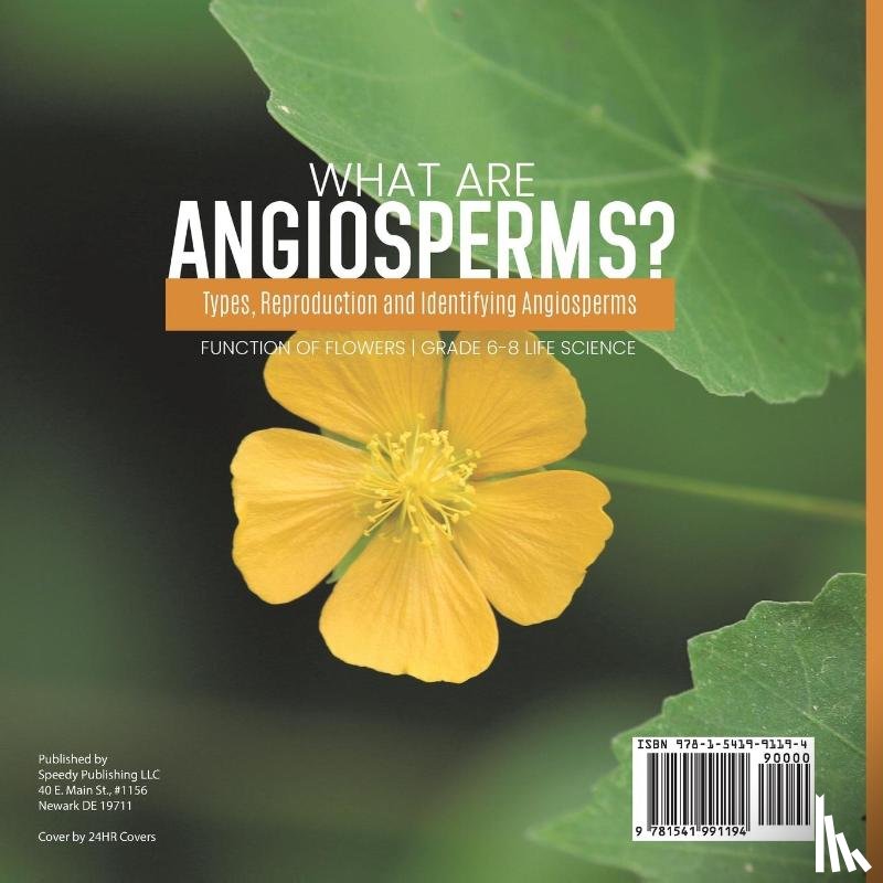 Baby - What are Angiosperms? Types, Reproduction and Identifying Angiosperms | Function of Flowers | Grade 6-8 Life Science