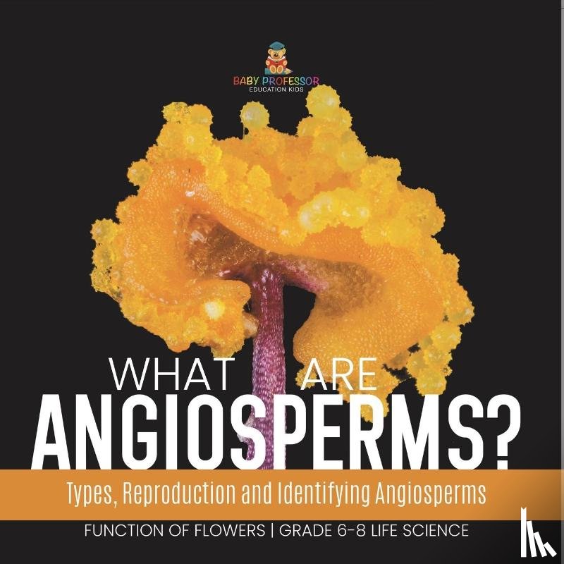 Baby - What are Angiosperms? Types, Reproduction and Identifying Angiosperms | Function of Flowers | Grade 6-8 Life Science