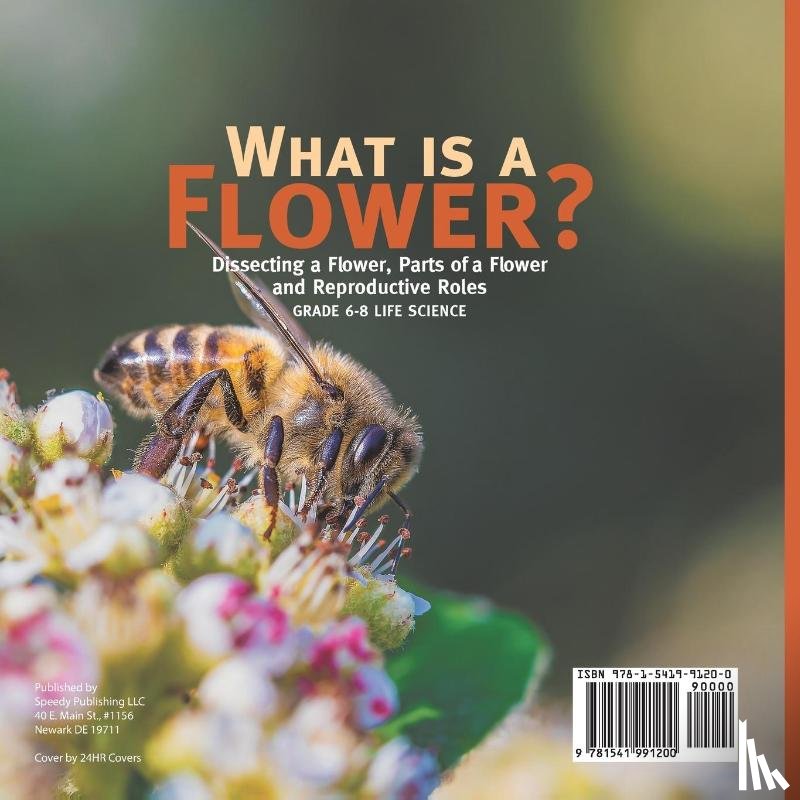 Baby - What is a Flower? Dissecting a Flower, Parts of a Flower and Reproductive Roles | Grade 6-8 Life Science