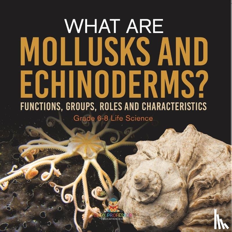 Baby - What are Mollusks and Echinoderms? Functions, Groups, Roles and Characteristics | Grade 6-8 Life Science