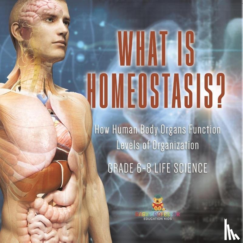 Baby - What is Homeostasis? How Human Body Organs Function | Levels of Organization | Grade 6-8 Life Science