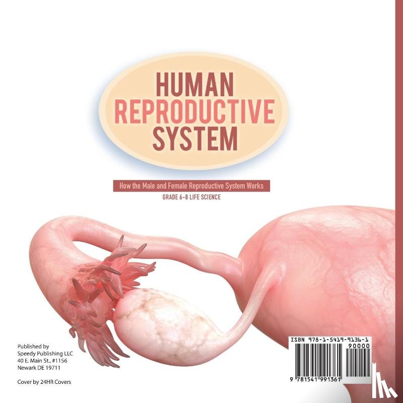 Baby - Human Reproductive System | How the Male and Female Reproductive System Works | Grade 6-8 Life Science