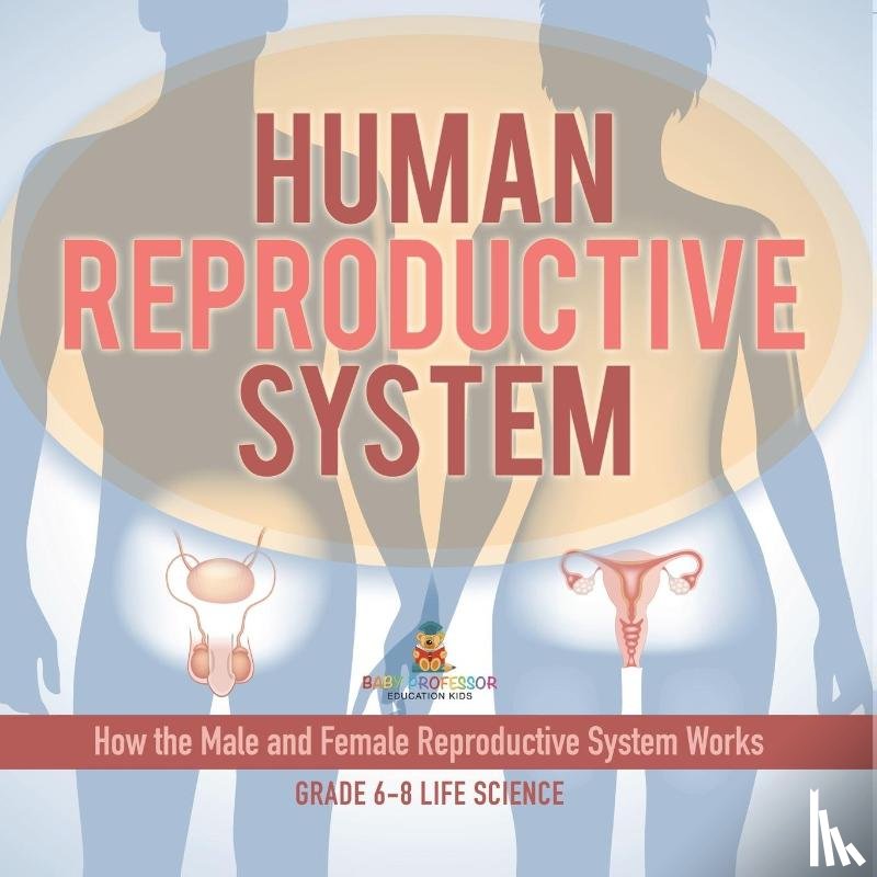 Baby - Human Reproductive System | How the Male and Female Reproductive System Works | Grade 6-8 Life Science