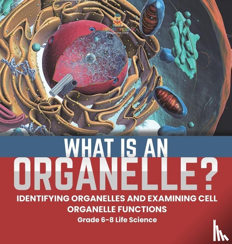 Baby - What is an Organelle? Identifying Organelles and Examining Cell Organelle Functions | Grade 6-8 Life Science