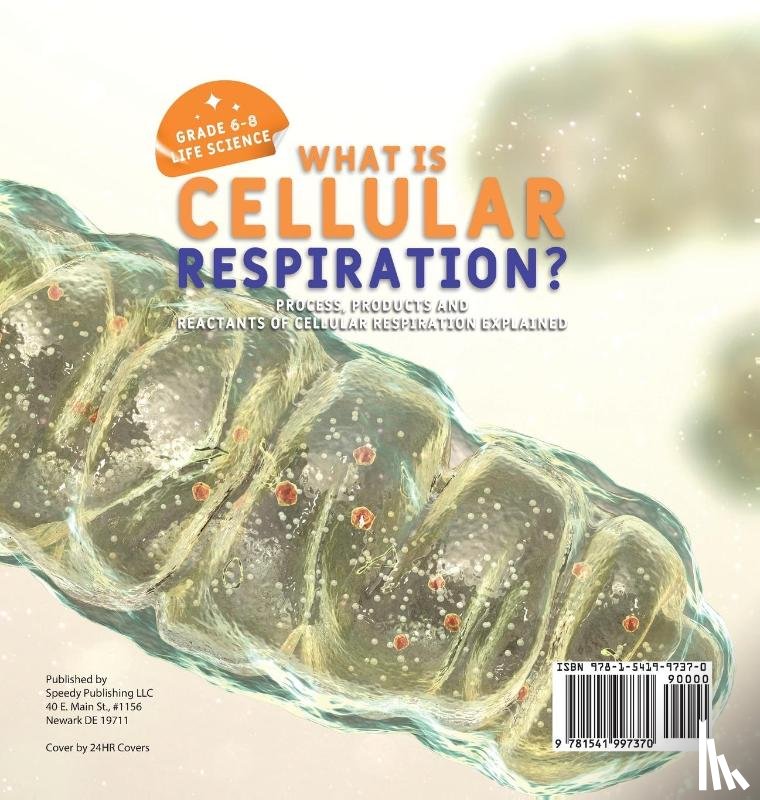 Baby - What is Cellular Respiration? Process, Products and Reactants of Cellular Respiration Explained | Grade 6-8 Life Science
