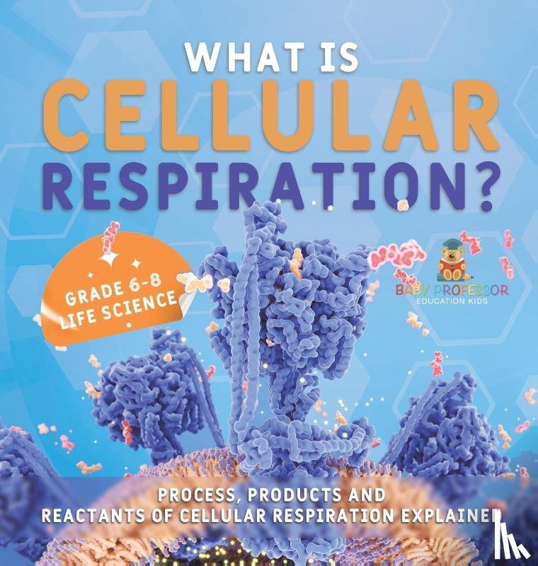 Baby - What is Cellular Respiration? Process, Products and Reactants of Cellular Respiration Explained | Grade 6-8 Life Science