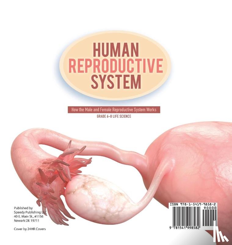 Baby - Human Reproductive System | How the Male and Female Reproductive System Works | Grade 6-8 Life Science