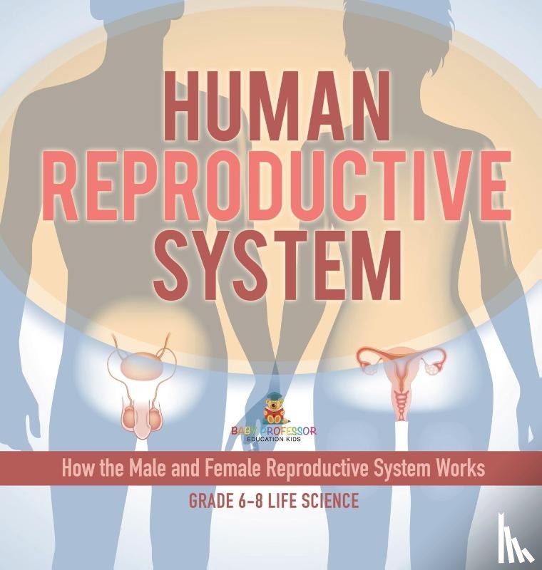 Baby - Human Reproductive System | How the Male and Female Reproductive System Works | Grade 6-8 Life Science