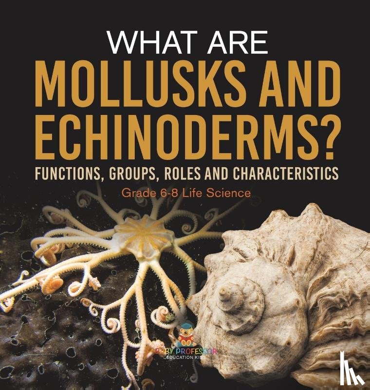 Baby - What are Mollusks and Echinoderms? Functions, Groups, Roles and Characteristics | Grade 6-8 Life Science