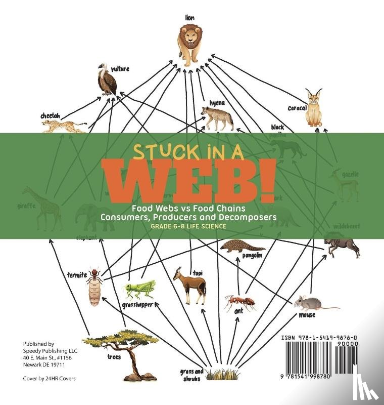 Baby - Stuck in a Web! Food Webs vs Food Chains | Consumers, Producers and Decomposers | Grade 6-8 Life Science