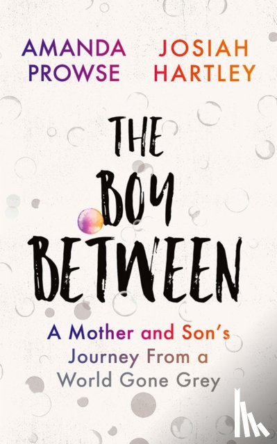 Hartley, Josiah, Prowse, Amanda - The Boy Between