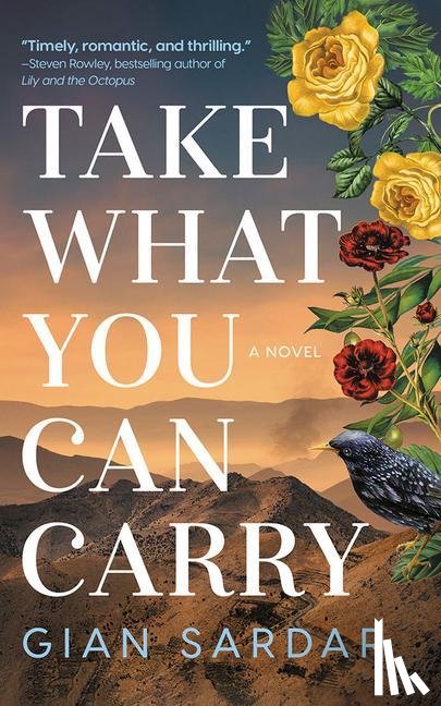 Sardar, Gian - Take What You Can Carry