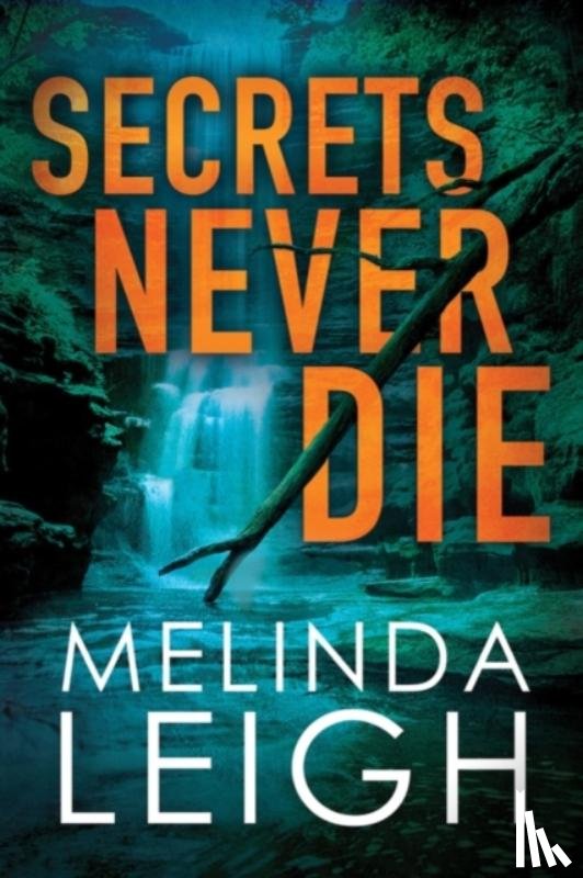 Leigh, Melinda - Secrets Never Die