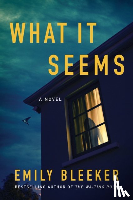 Bleeker, Emily - What It Seems