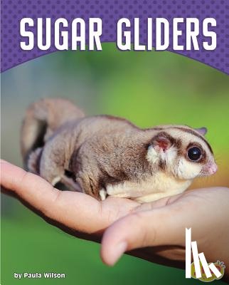 Wilson, Paula M. - Sugar Gliders