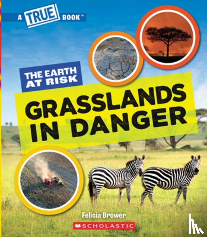 Brower, Felicia - Grasslands in Danger (a True Book: The Earth at Risk)