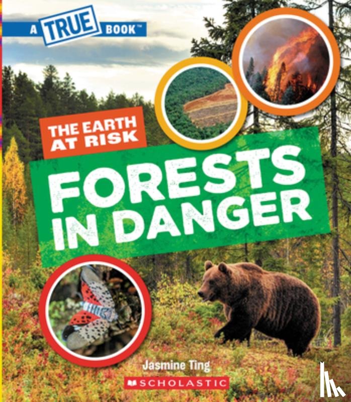 Ting, Jasmine - Forests in Danger (a True Book: The Earth at Risk)