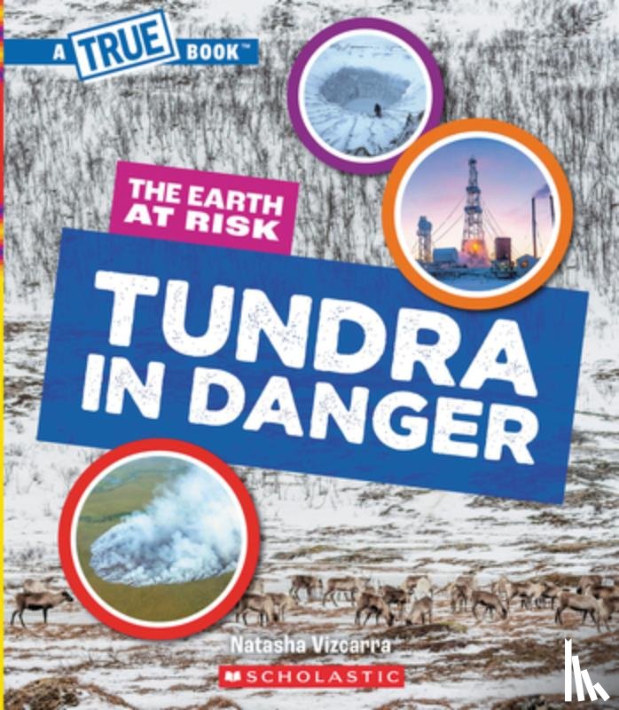 Vizcarra, Natasha - Tundra in Danger (a True Book: The Earth at Risk)