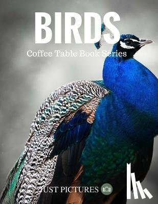 Pictures, Just - Birds: Coffee Table Book Series
