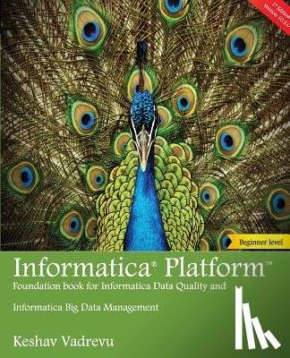 Vadrevu, Keshav - Informatica Platform: A beginner's guide - Foundation book for Informatica Data Quality and Big Data Management