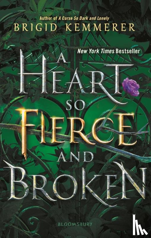 Kemmerer, Brigid - HEART SO FIERCE & BROKEN