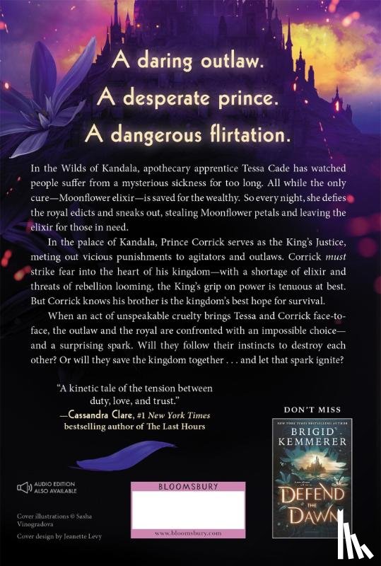 Kemmerer, Brigid - Kemmerer, B: Defy the Night